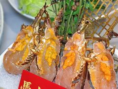 -喜聚薈·花膠雞海鮮火鍋(越秀店)