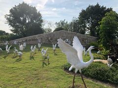 -琅岐红光湖公园