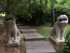 -迎泽公园