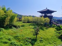 -大唐贡茶院