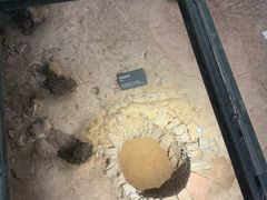 -南越王博物院(王宫展区)