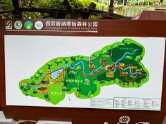 -西双版纳原始森林公园