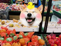 -农工商超市(金沙江路店)