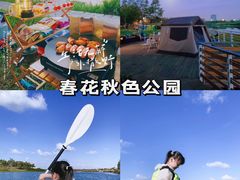 -春花秋色城市公园