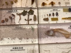 -二酉书店TOYOU BOOKS