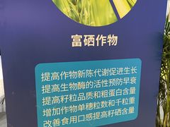 -中国农业博物馆
