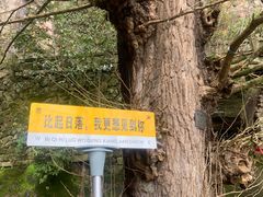 -大慈岩风景区