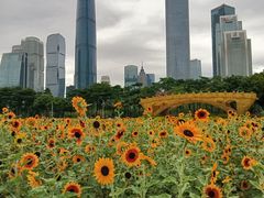 -海心沙亚运公园