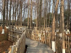 -乌镇东栅景区