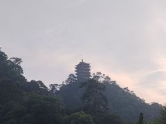 -缙云山景区