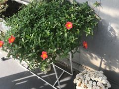 -边渡咖啡烘焙店(昙华林店)