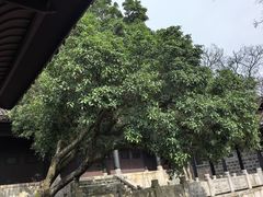 -阳明祠