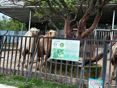 -泉州海丝野生动物世界