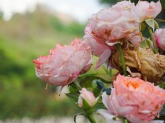 -人民公园(罗湖区)