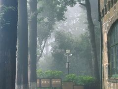 -莫干山风景区