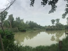 -白鹭湾湿地公园