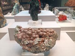 -湖南省地质博物馆