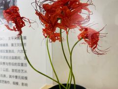 -中国宣纸文化园