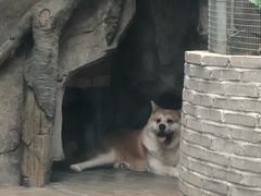 -南昌动物园