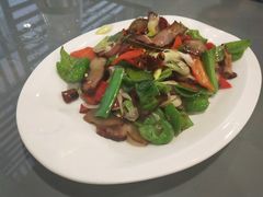 -成都老店