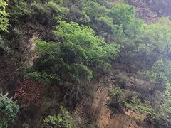 -藏山旅游风景区