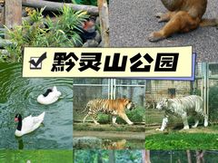 -黔灵山公园