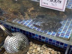 -天盛海鲜烧烤大排档·本地小海鲜·牟平腿穗子(幸福店)