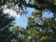 -桂林独秀峰王城景区