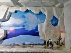 -左海海底世界