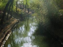 -紫竹院公园冰场