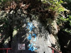 -呀诺达热带雨林