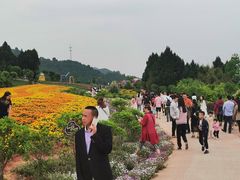 -中国香山·寿香谷