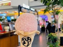 -野人先生Gelato(上海长宁龙之梦店)