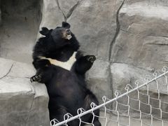 -石家庄市动物园