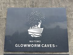 -怀托摩萤火虫洞