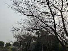 -堤角公园