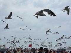 -海驴岛(荣成市)