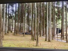 -玉苍山国家森林公园