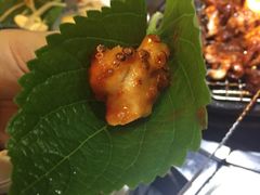 -喜儿家铁网烤章鱼(弘大店)