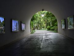 -深圳国际园林花卉博览园