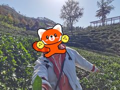 -黄陂区野村谷景区