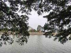 -大湾区中央湿地公园