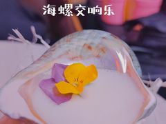 -Darling Queen·Mini·Live·House