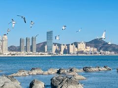 -黑石礁公园