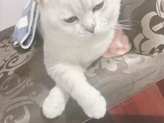 -贝利宠物医院·骨科·眼科·肿瘤转诊中心(南坪诊疗中心)