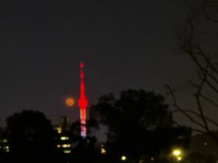 -龟山风景区-龟山电视塔
