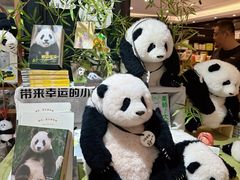 -轩客会(熊猫书店)