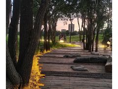 -青城公园