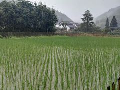 -毛泽东同志旧居