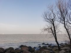 -上海吴淞炮台湾国家湿地公园
